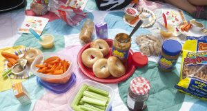 Picnic with Sunbutter Sunflower Seed Spread