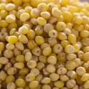 Hulled Millet