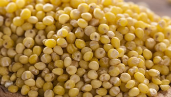 Hulled Millet